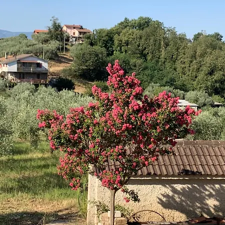 Casale Ugo E Letizia *